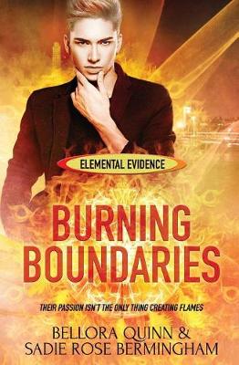 Book cover for Burning Boundaries