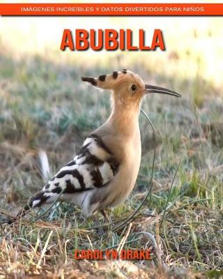 Book cover for Abubilla