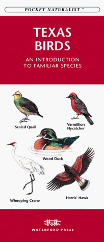 Book cover for Texas Birds