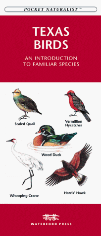 Cover of Texas Birds