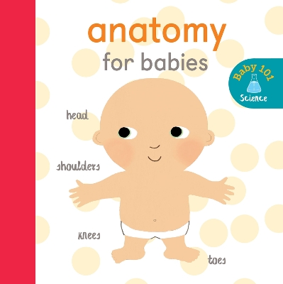 Book cover for Anatomy for Babies