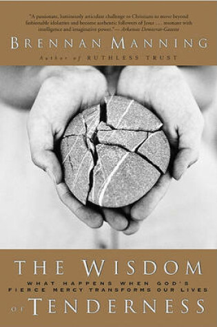 Cover of Wisdom of Tenderness HB