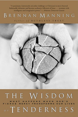 Book cover for Wisdom of Tenderness HB