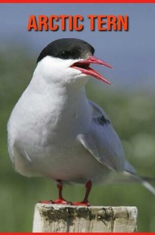 Cover of Arctic Tern