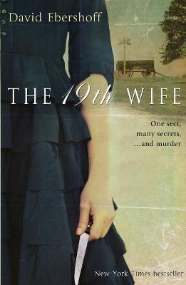 Book cover for The 19th Wife