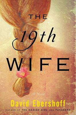 Book cover for THE 19th Wife