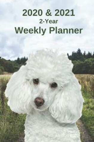 Cover of 2020 & 2021 Weekly Planner - Two Year Appointment Book Gift - Two-Year Agenda Notebook for Poodle Dog Owners