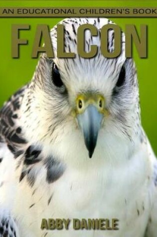 Cover of Falcon! An Educational Children's Book about Falcon with Fun Facts & Photos