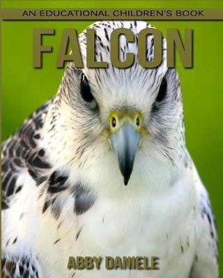 Book cover for Falcon! An Educational Children's Book about Falcon with Fun Facts & Photos