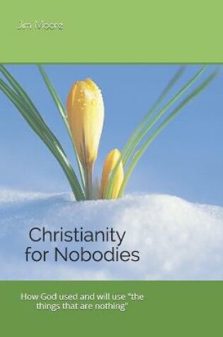 Cover of Christianity for Nobodies