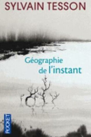 Cover of Geographie de l'instant