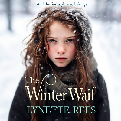 Book cover for The Winter Waif