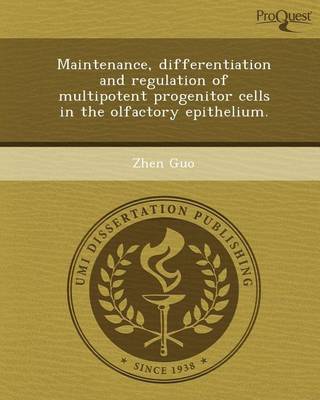 Book cover for Maintenance