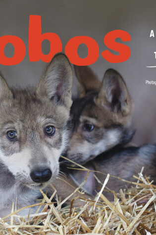 Cover of Lobos