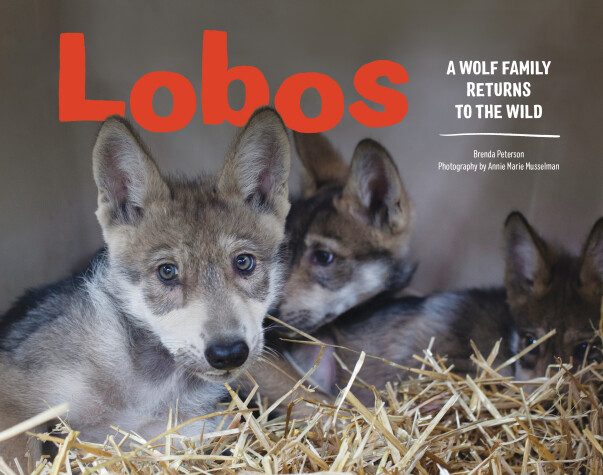 Book cover for Lobos