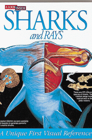 Cover of A Look inside Sharks and Rays