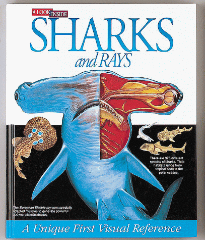 Book cover for A Look inside Sharks and Rays