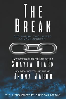 Book cover for The Break