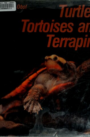 Cover of Turtles, Tortoises, and Terrapins