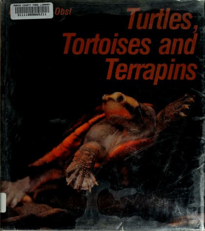 Book cover for Turtles, Tortoises, and Terrapins