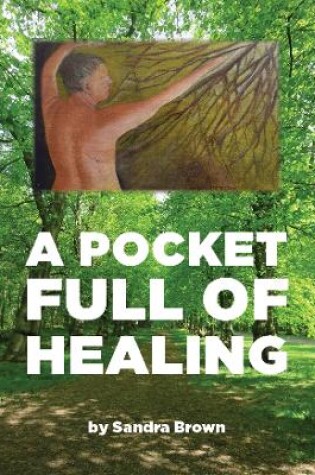 Cover of A Pocket Full of Healing