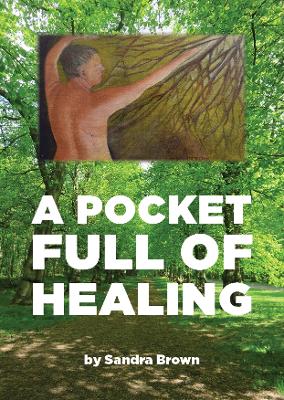 Book cover for A Pocket Full of Healing