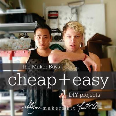 Book cover for Cheap + Easy DIY Projects