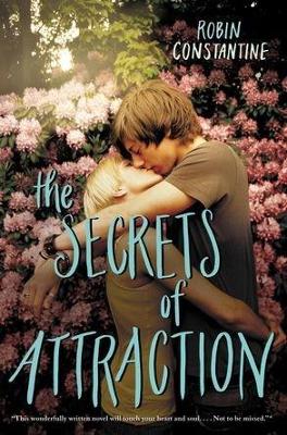 Book cover for The Secrets Of Attraction