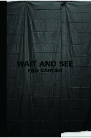 Cover of Wait and See