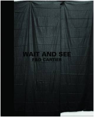 Book cover for Wait and See