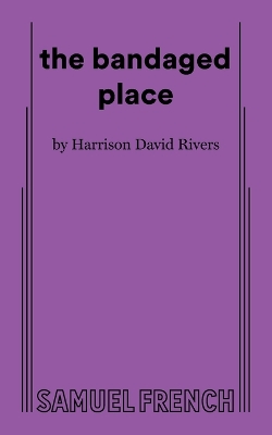 Book cover for the bandaged place