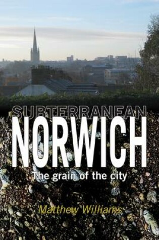 Cover of Subterranean Norwich