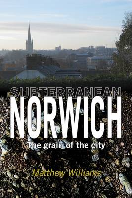 Book cover for Subterranean Norwich