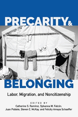 Book cover for Precarity and Belonging