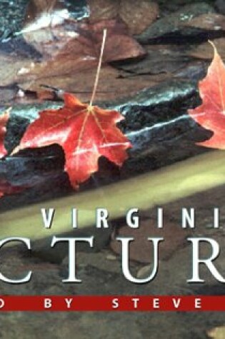 Cover of West Virginia in Pictures