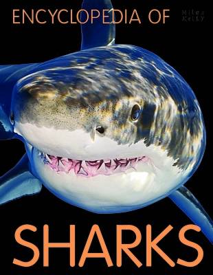 Book cover for Encyclopedia of Sharks