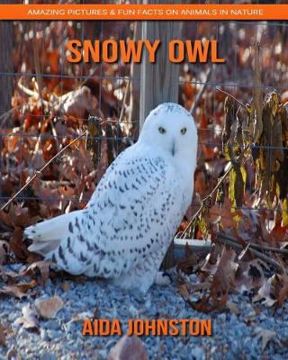 Book cover for Snowy Owl