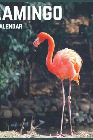 Cover of Flamingo 2021 Calendar
