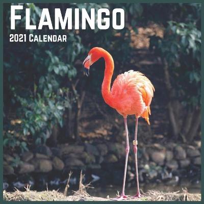 Book cover for Flamingo 2021 Calendar