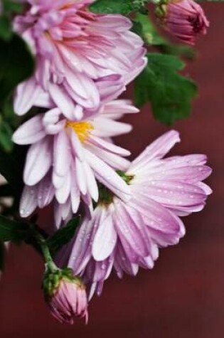 Cover of Lilac Chrysanthemum Flower Journal