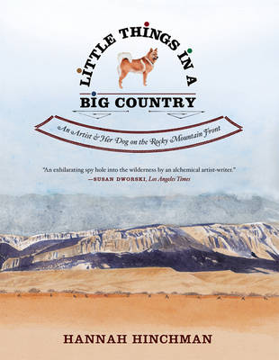 Book cover for Little Things in a Big Country