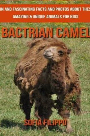 Cover of Bactrian camel