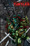 Book cover for Teenage Mutant Ninja Turtles: The Ultimate Collection Volume 4