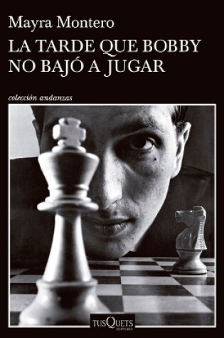 Cover of La Tarde Que Bobby No Bajó a Jugar (Novela) / The Afternoon Bobby Didn't Come Down to Play (a Novel)