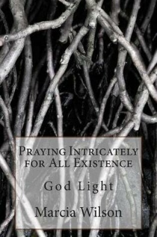 Cover of Praying Intricately for All Existence