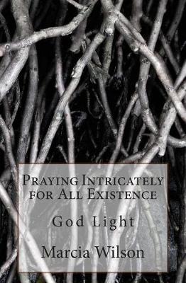 Book cover for Praying Intricately for All Existence