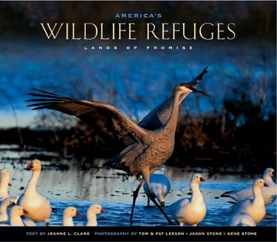 Book cover for Alaska's National Wildlife Refuges