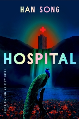 Cover of Hospital