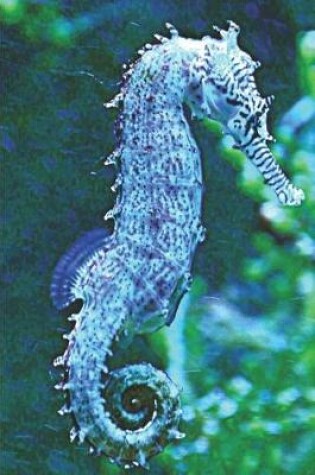Cover of Blue Seahorse Journal