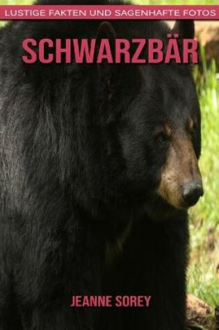 Cover of Schwarzbär